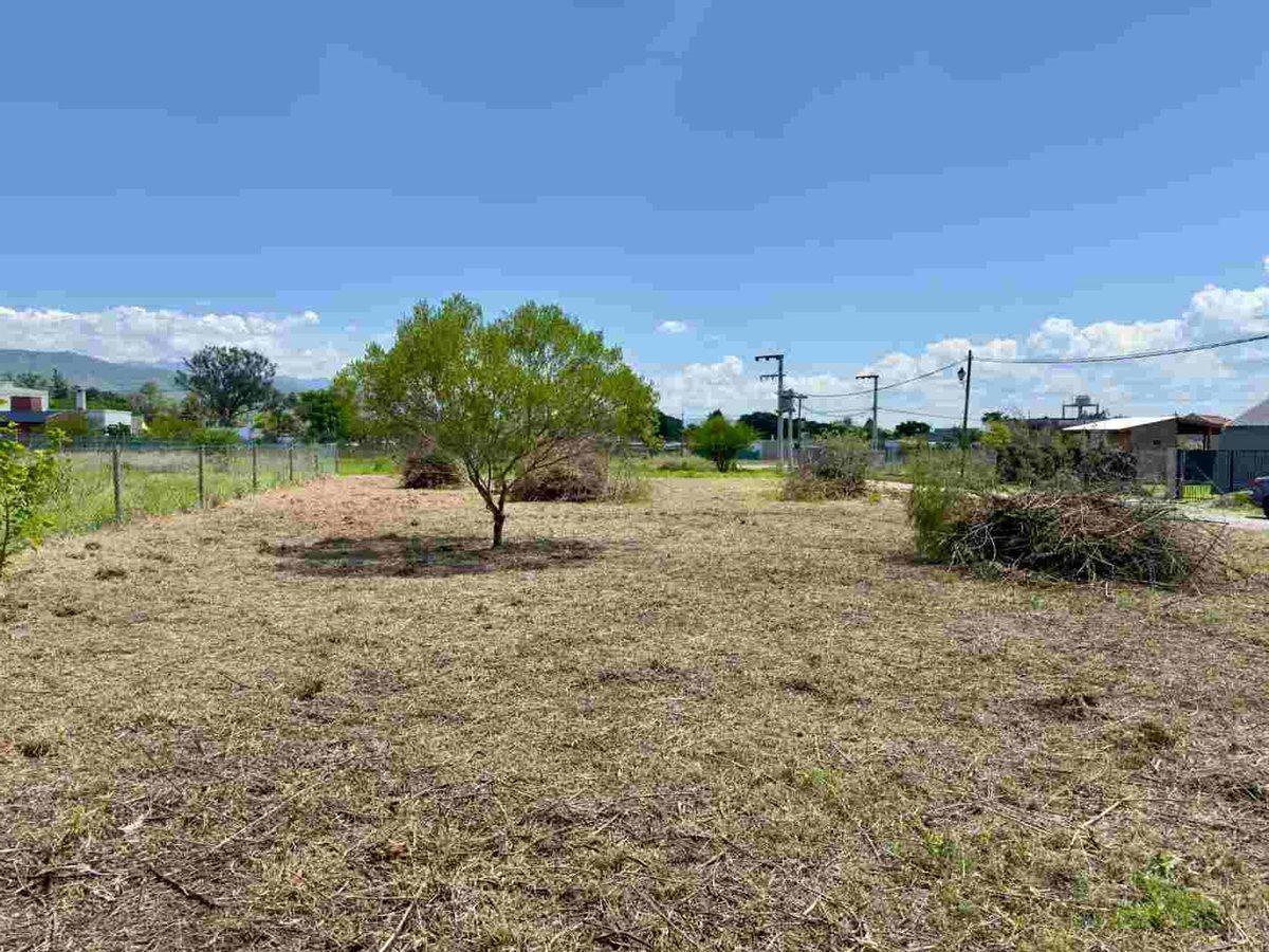 Foto de VENTA TERRENO SOLARES DE ORTIZ LA SILLETA 715 M2, imagen 3