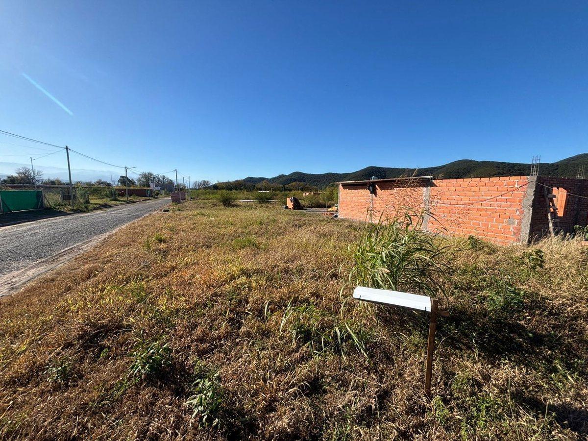 Foto de TERRENO VENTA LA CELESTINA CERRILLOS 340 M2, imagen 4