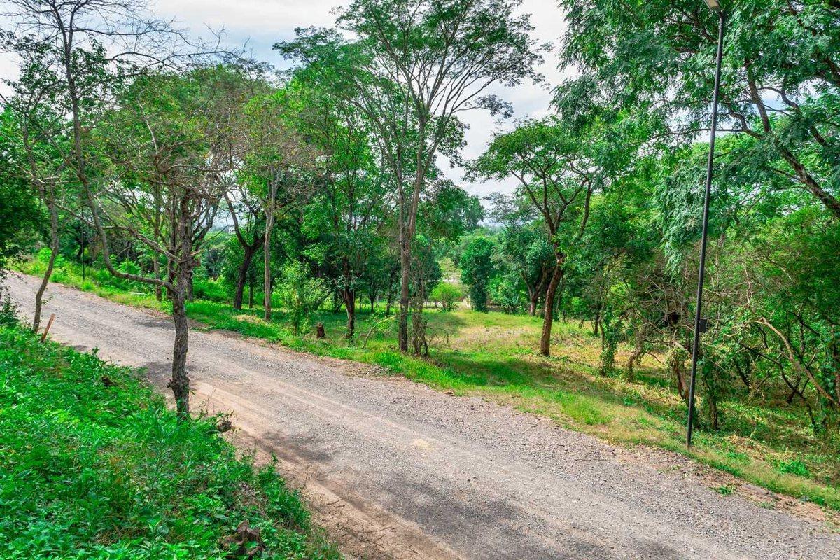 Foto de TERRENO EN VENTA EN QUEBRADA DE LOS NOGALES, imagen 2