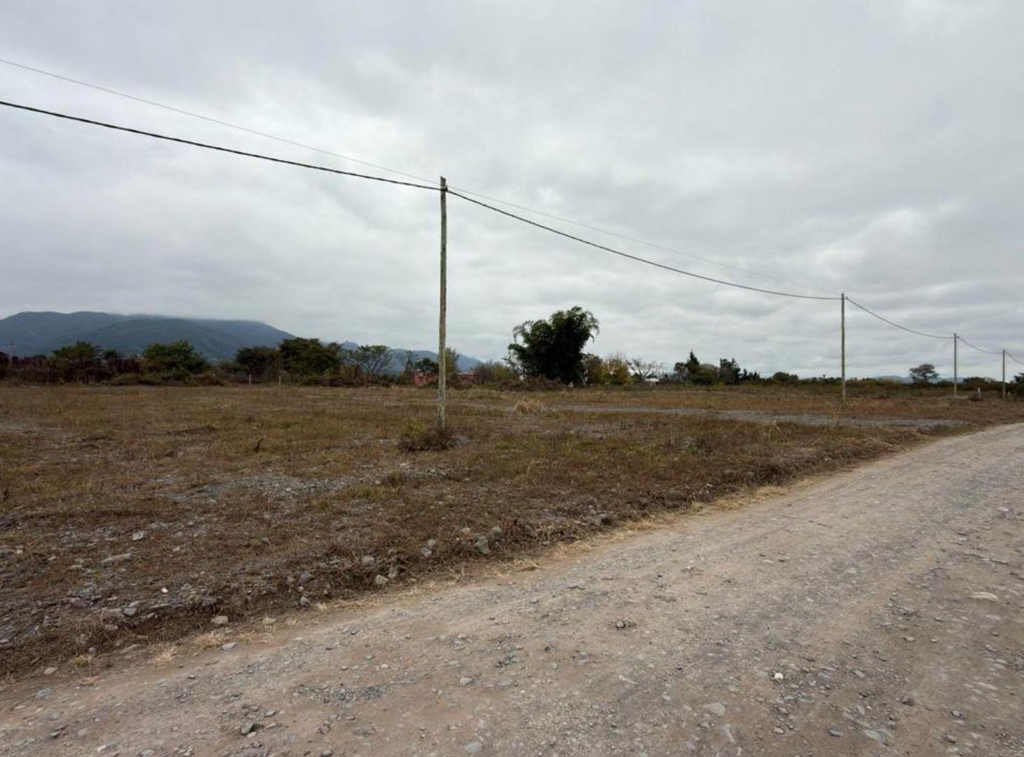 Foto de TERRENO VENTA CAMPO QUIJANO 1 HA PLANA, imagen 3