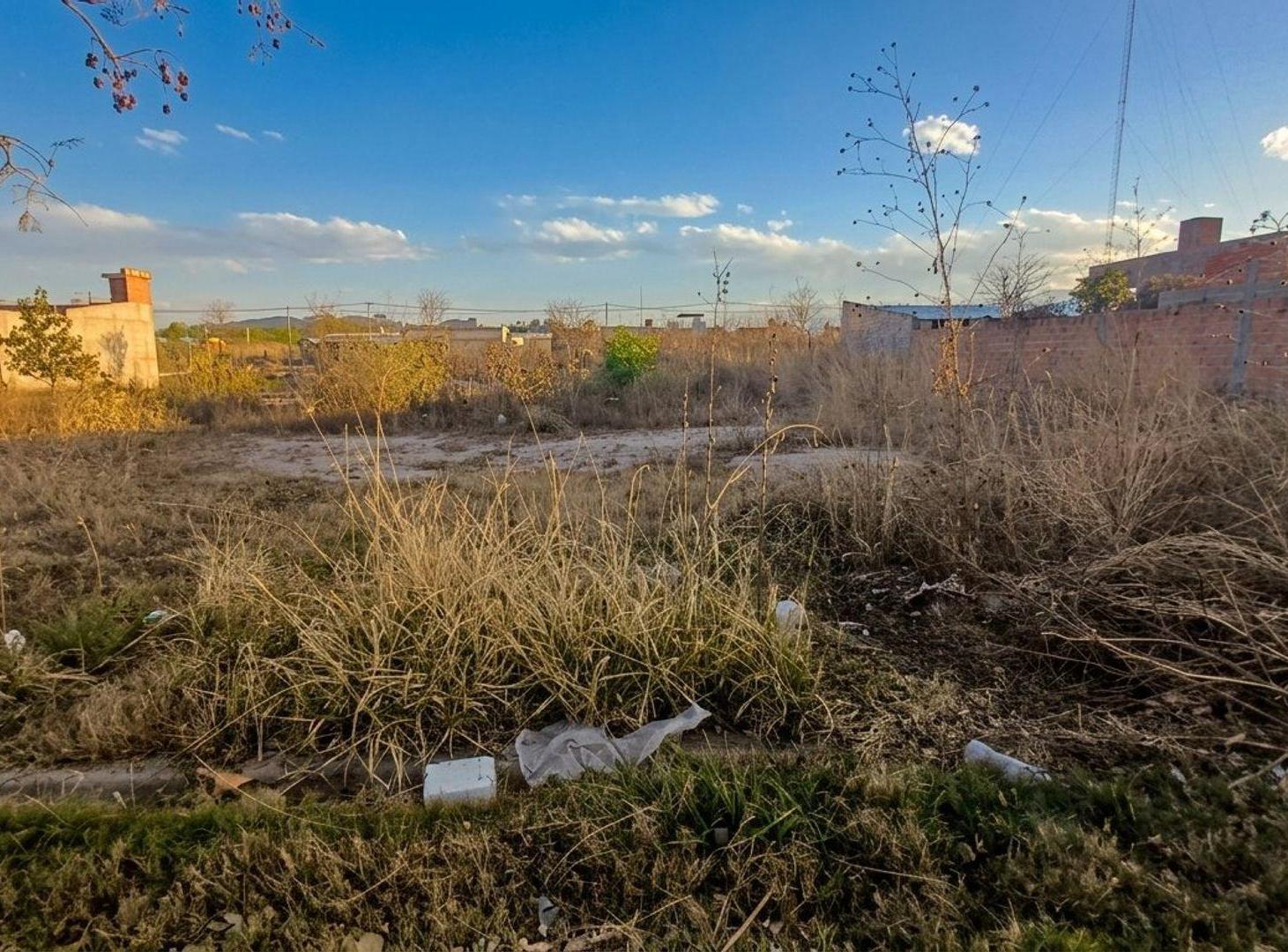 Foto de TERRENO CON CIMIENTOS Y CÁMARA SÉPTICA, CERRILLOS, imagen 3