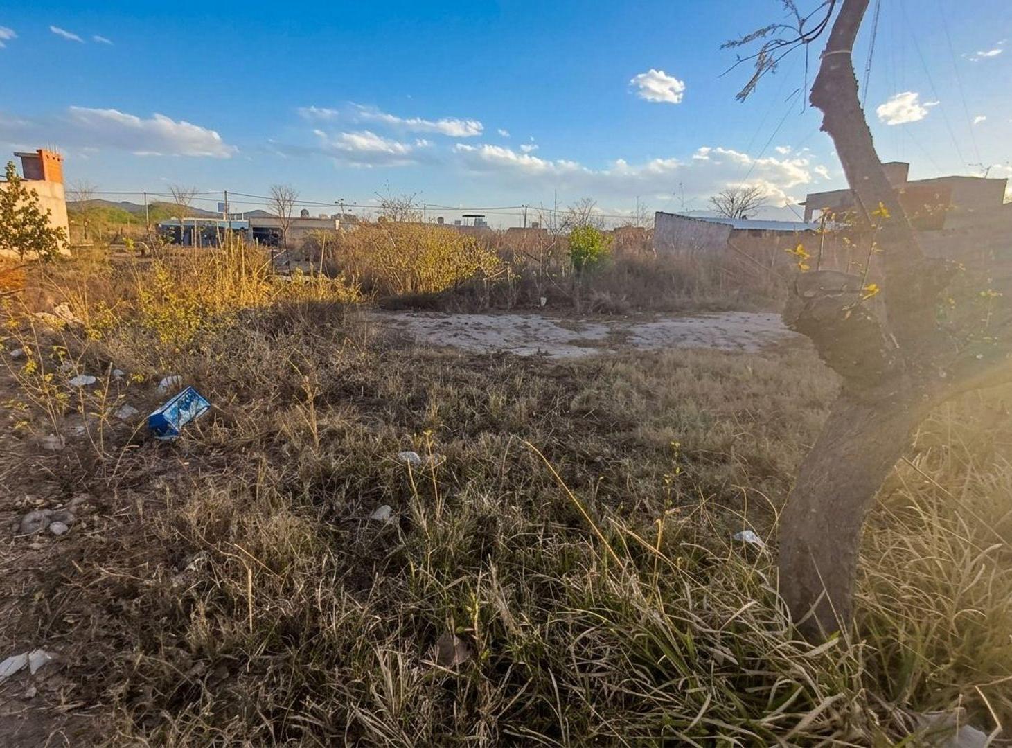 Foto de TERRENO CON CIMIENTOS Y CÁMARA SÉPTICA, CERRILLOS, imagen 5