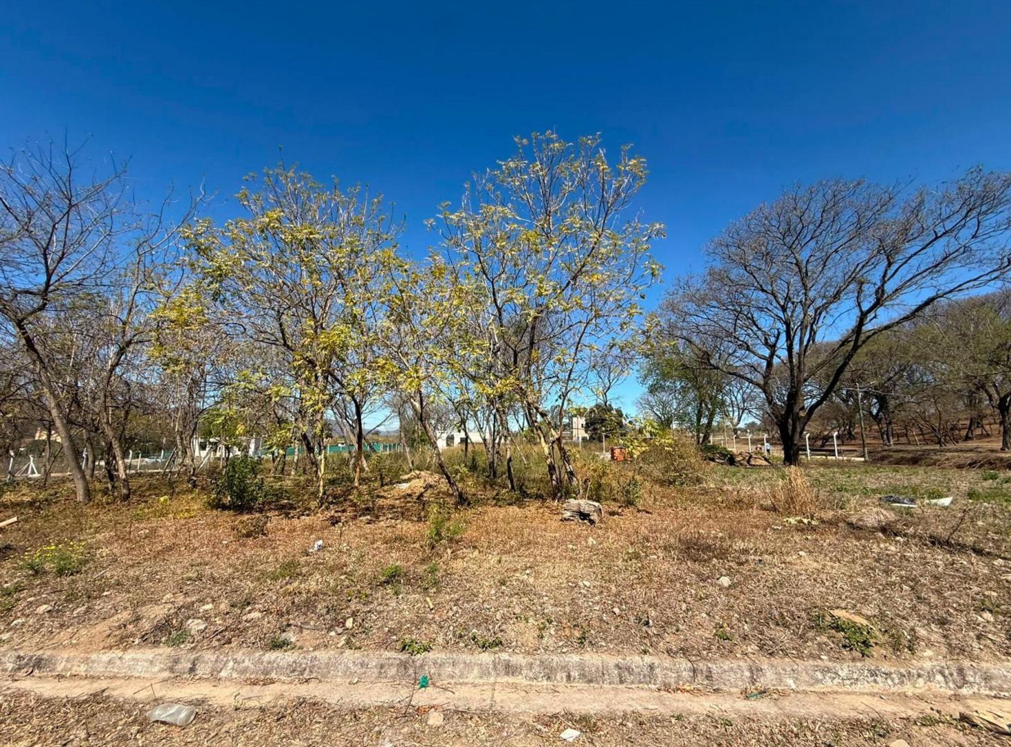 Foto de TERRENO VENTA 550M2 VAQUEROS URBANIZACION ALMERIA, imagen 4
