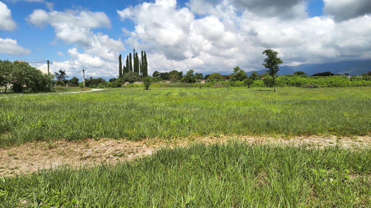 Foto de TERRENO VENTA B° LOS ROBLES LA MERCED DEL ENCON, imagen 5