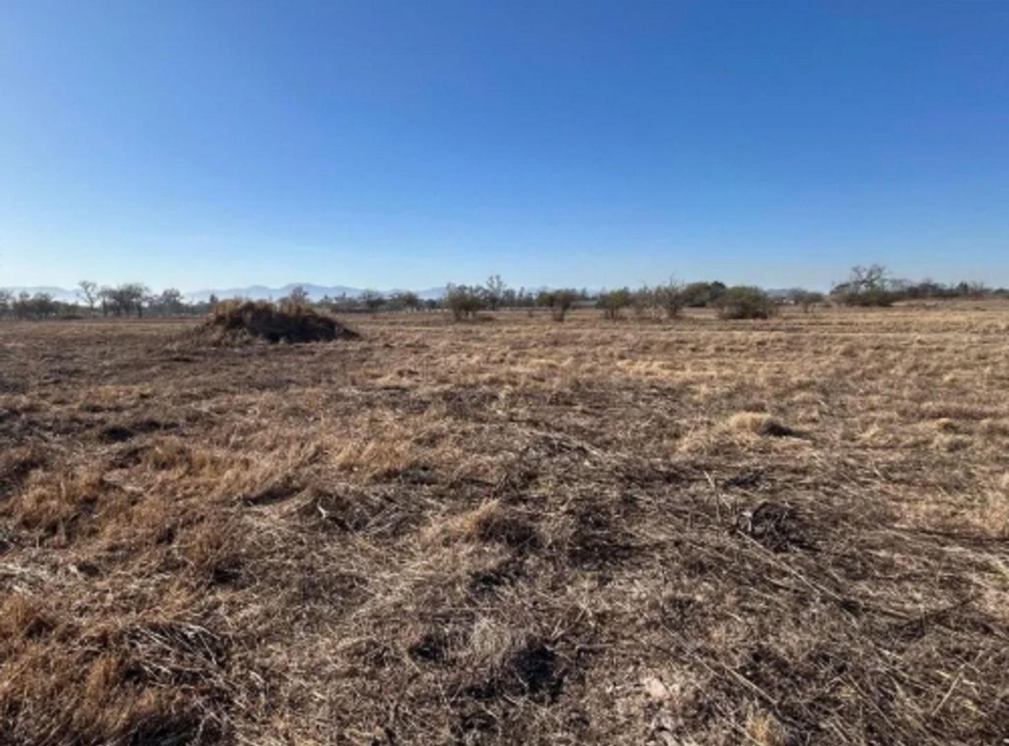 Foto de VENTA TERRENO RECODO ZONA SAN LUIS, imagen 1