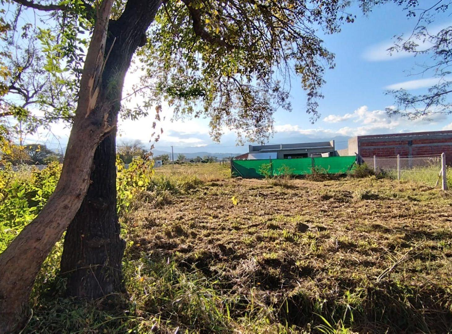 Foto de VENTA TERRENO SAN LORENZO CHICO TIERRA MIA 360 MT2, imagen 3