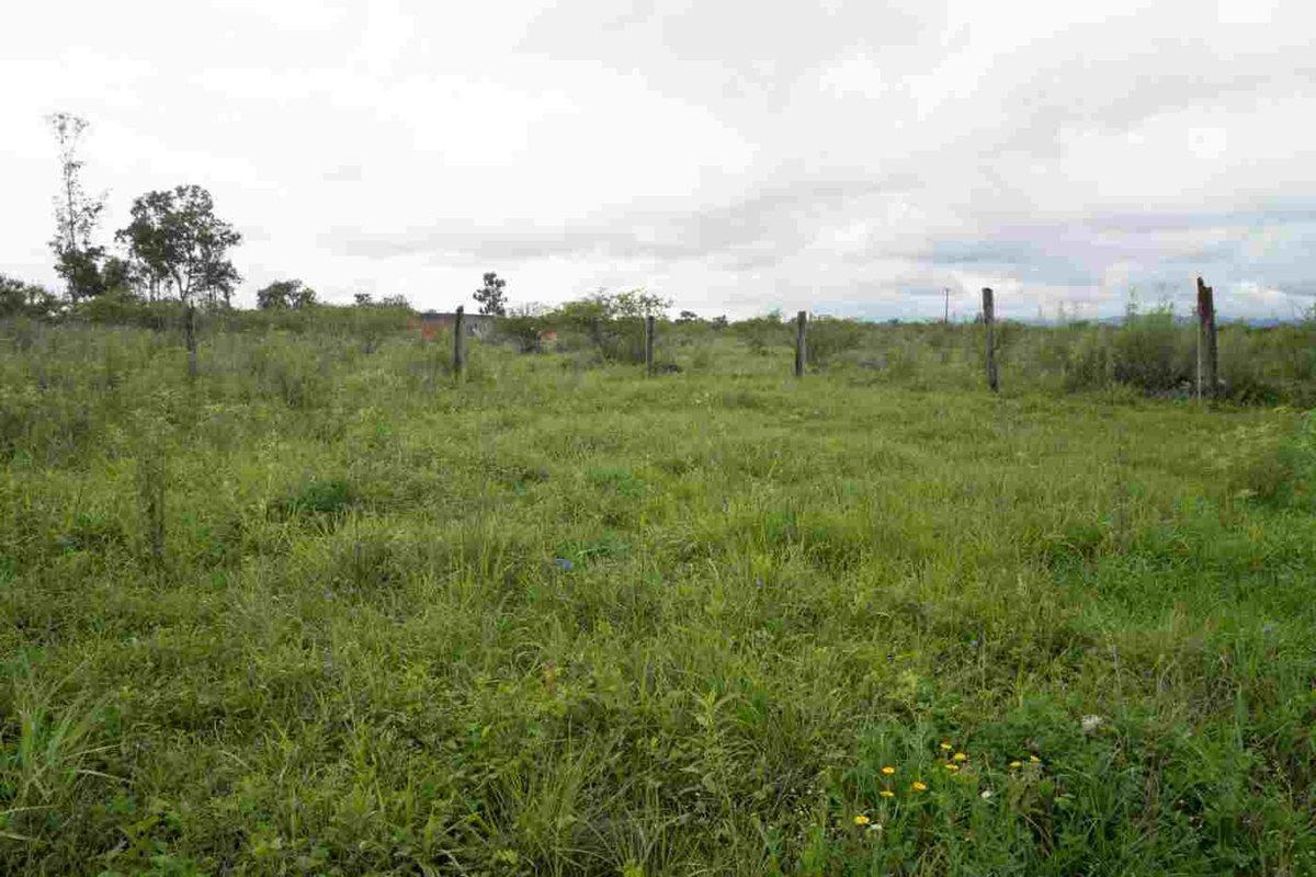 Foto de TERRENO EN VENTA O PERMUTA POR VEHICULO C. QUIJANO, imagen 4