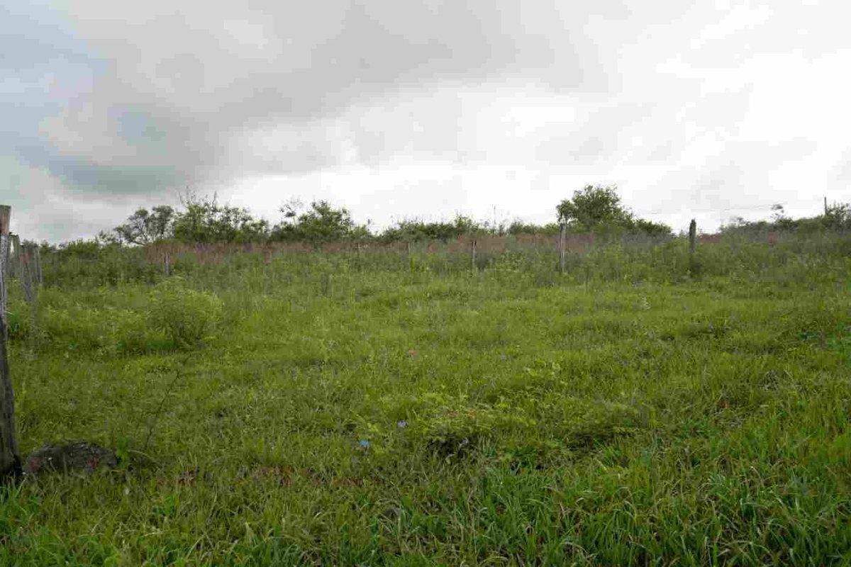 TERRENO EN VENTA O PERMUTA POR VEHICULO C. QUIJANO