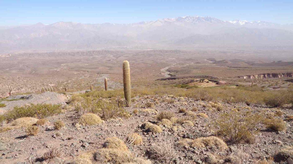 Foto de FINCA EN VENTA RUTA PROVINCIAL 40 CACHI, imagen 5