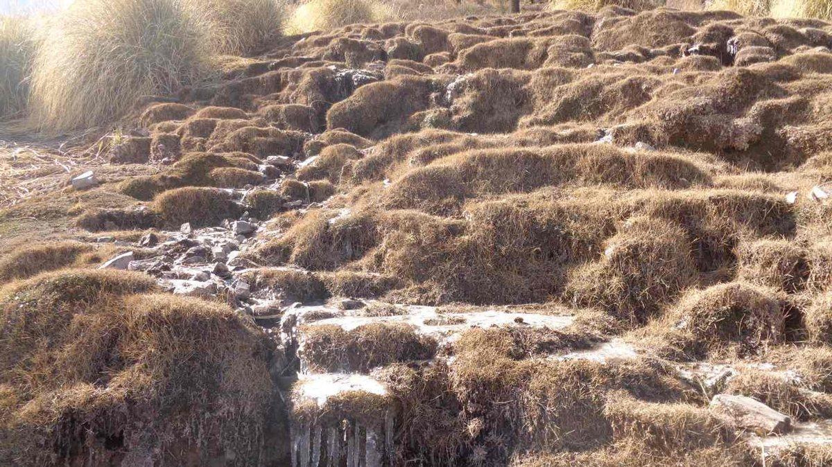 Foto de FINCA EN VENTA RUTA PROVINCIAL 40 CACHI, imagen 2