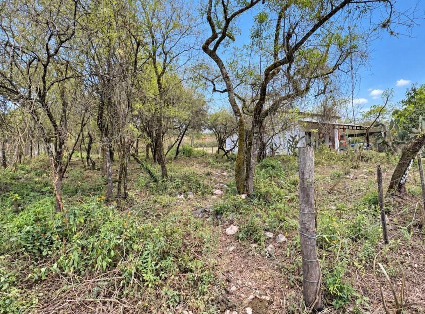 Foto de VENTA TERRENO EN VAQUEROS 1000 M2, imagen 3