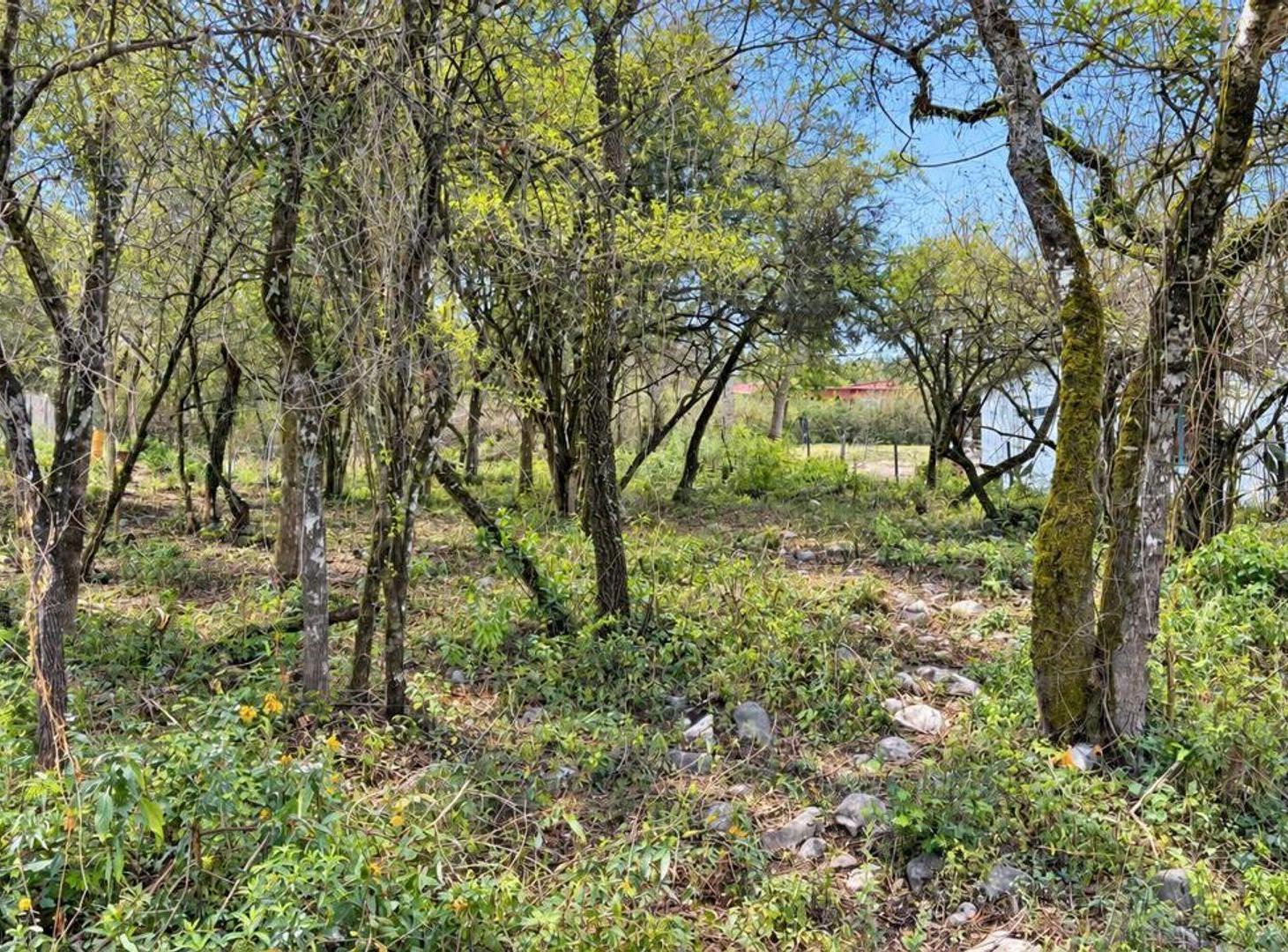 Foto de VENTA TERRENO EN VAQUEROS 1000 M2, imagen 5