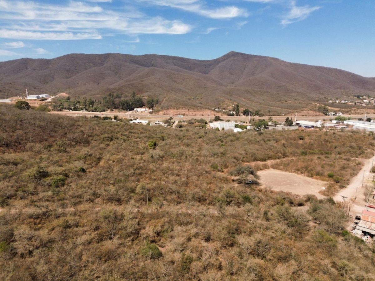 Foto de TERRENO 2 HECTAREAS VENTA ACCESO A SALTA RUTA N°9, imagen 5