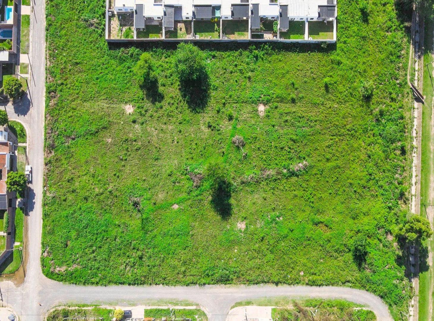 Foto de TERRENO VENTA 9.500M2 ZONA SUR AV ROBERTO ROMERO, imagen 4