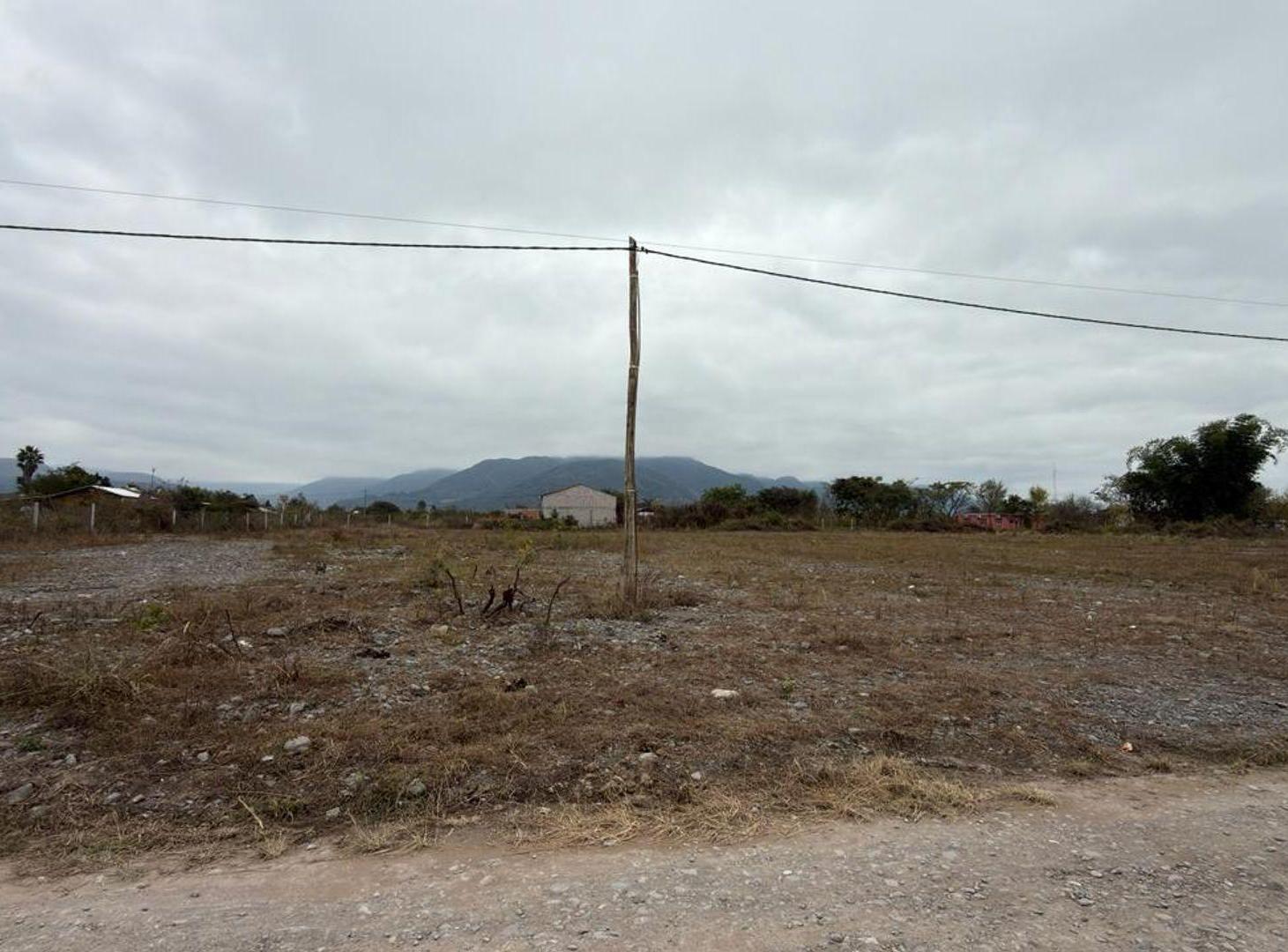 Foto de TERRENO VENTA CAMPO QUIJANO 1 HA PLANA, imagen 4