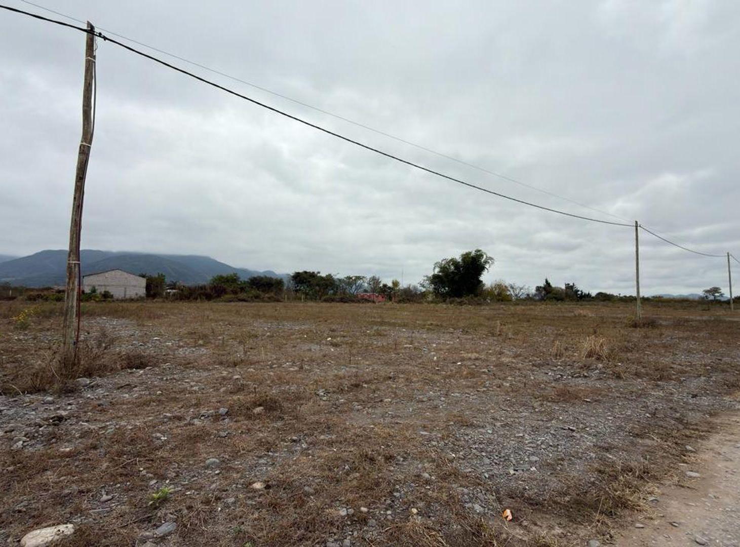 Foto de TERRENO VENTA CAMPO QUIJANO 1 HA PLANA, imagen 3