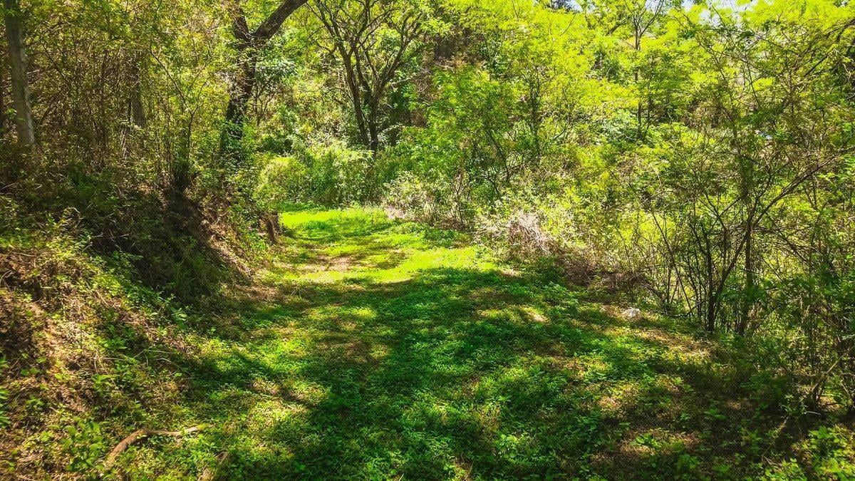 Foto de TERRENO VENTA 1 HECTAREA CASTELLANOS SAN LORENZO, imagen 2