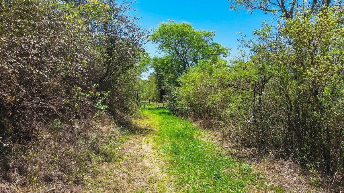 Foto de TERRENO VENTA 1 HECTAREA CASTELLANOS SAN LORENZO, imagen 5