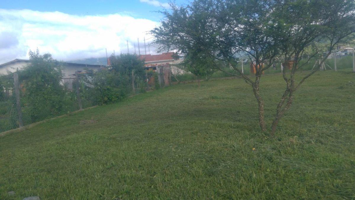 Foto de VENTA TERRENO CAMPO QUIJANO, imagen 3