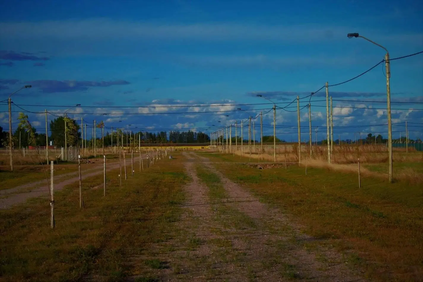 LOTES EN RINCON DE GOMEZ - BRANDSEN 2