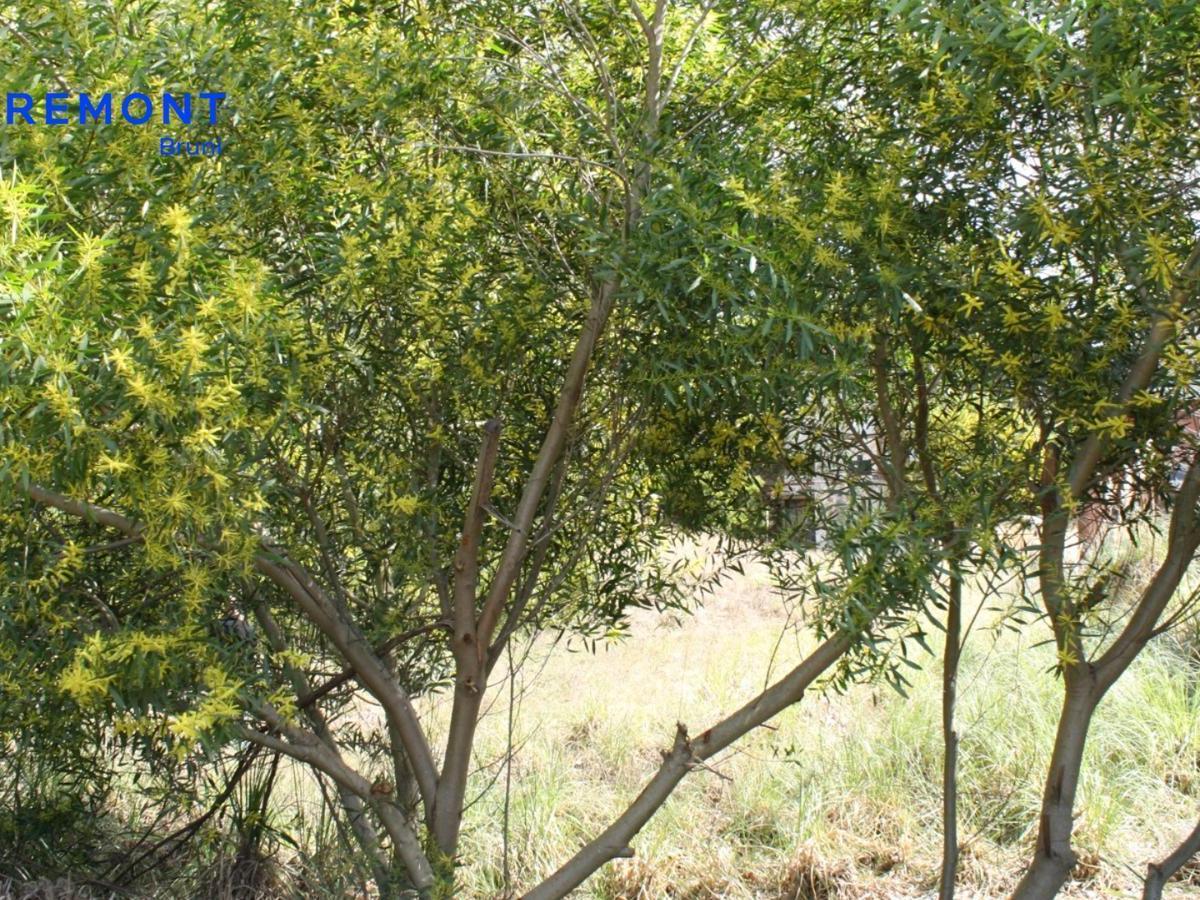 Terreno en Venta en Mar de Las Pampas 5