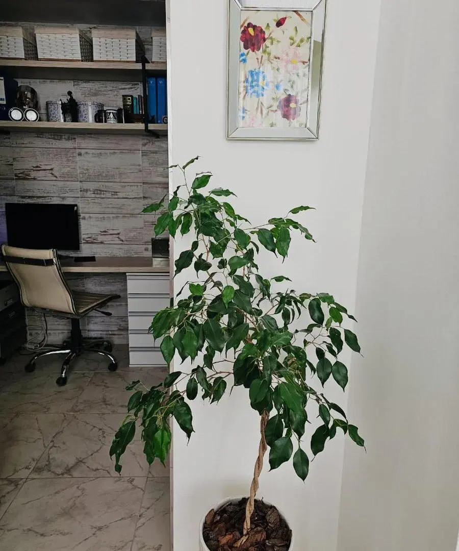Excelente oportunidad, loft en venta de 42m2 con cochera. Distrito Quartier, Retiro. 4