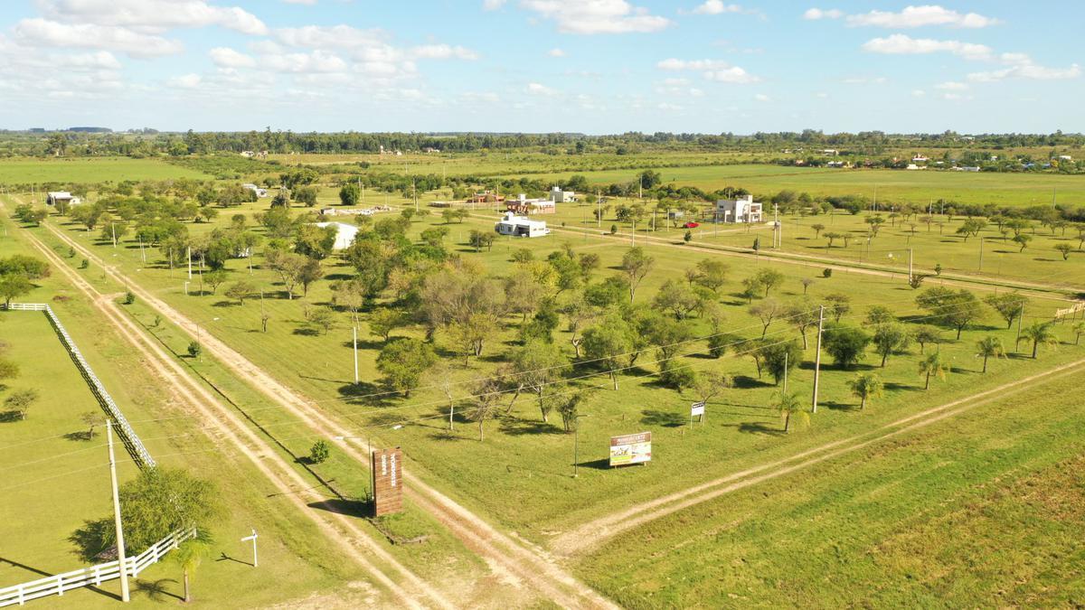 Foto de Loteo Ayres del 1872 Colón Entre Ríos, imagen 2