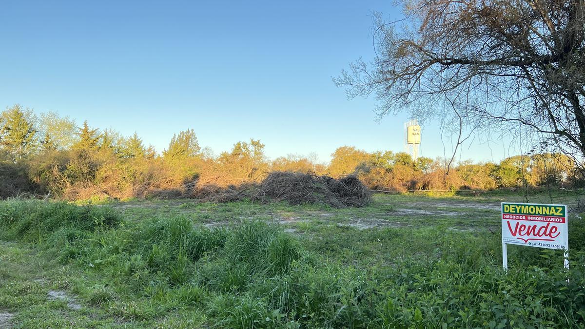 Foto de Terreno en zona Termas San José, imagen 3
