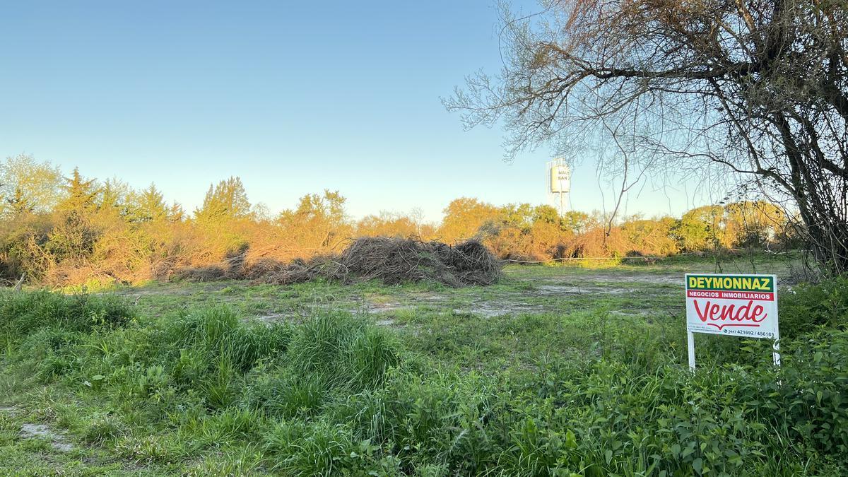 Foto de Terreno en zona Termas San José, imagen 2