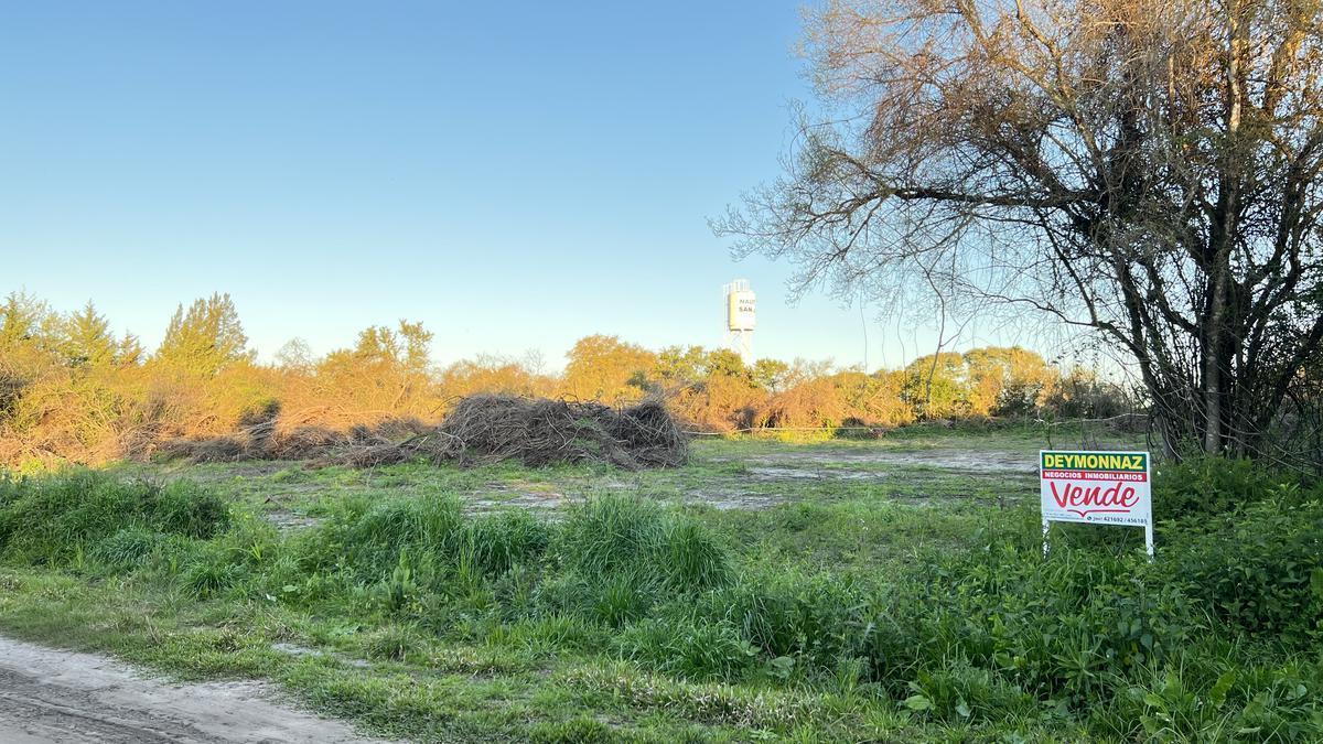 Foto de Terreno en zona Termas San José, imagen 4