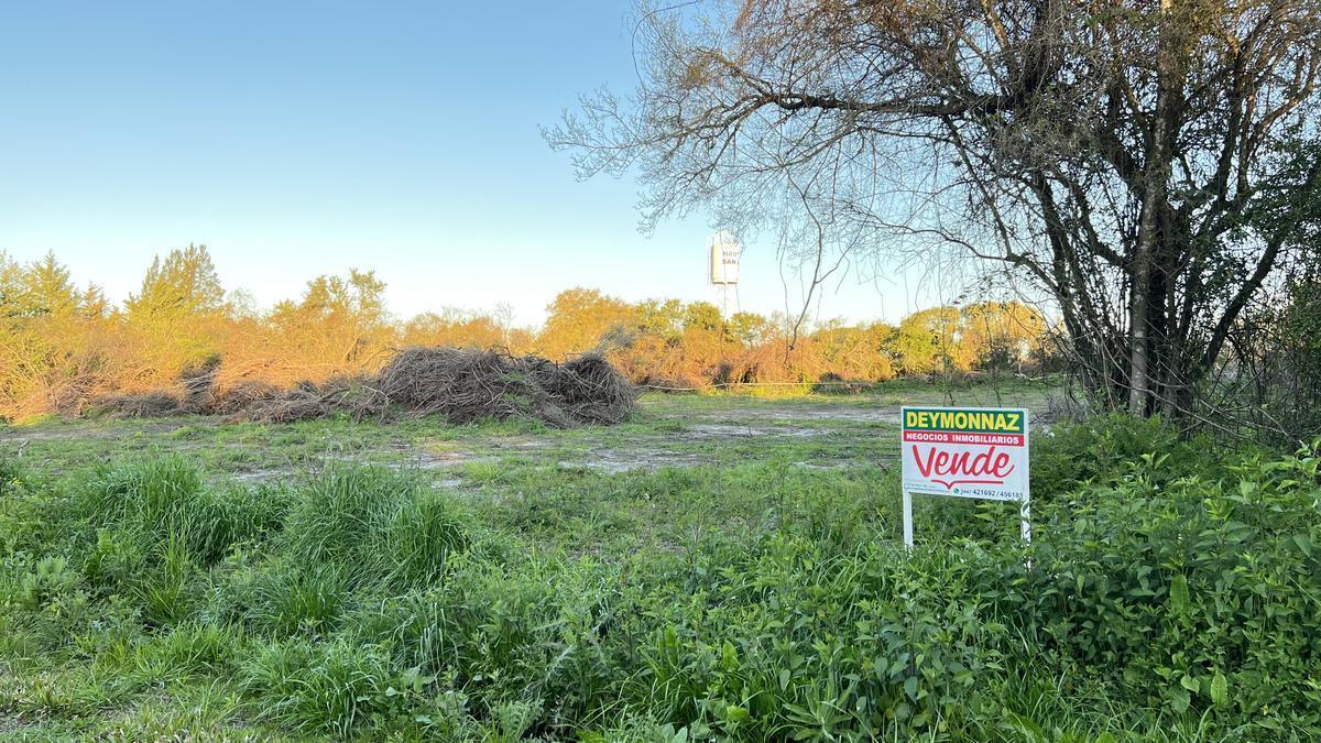 Foto de Terreno en zona Termas San José, imagen 5