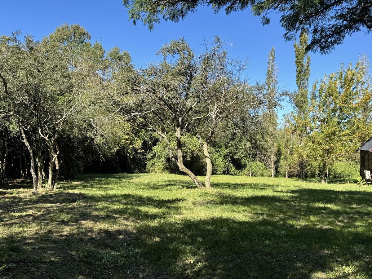 Foto de Cabañas en Venta Zona Termas y Balneario San José, imagen 2