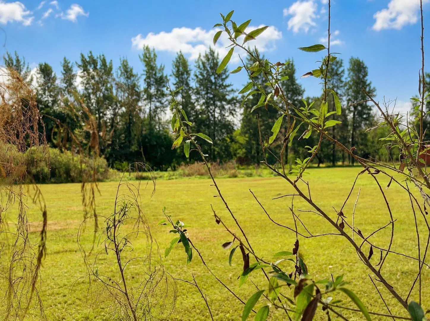 Terreno en Zona Camino Viejo Colón Entre Ríos 1