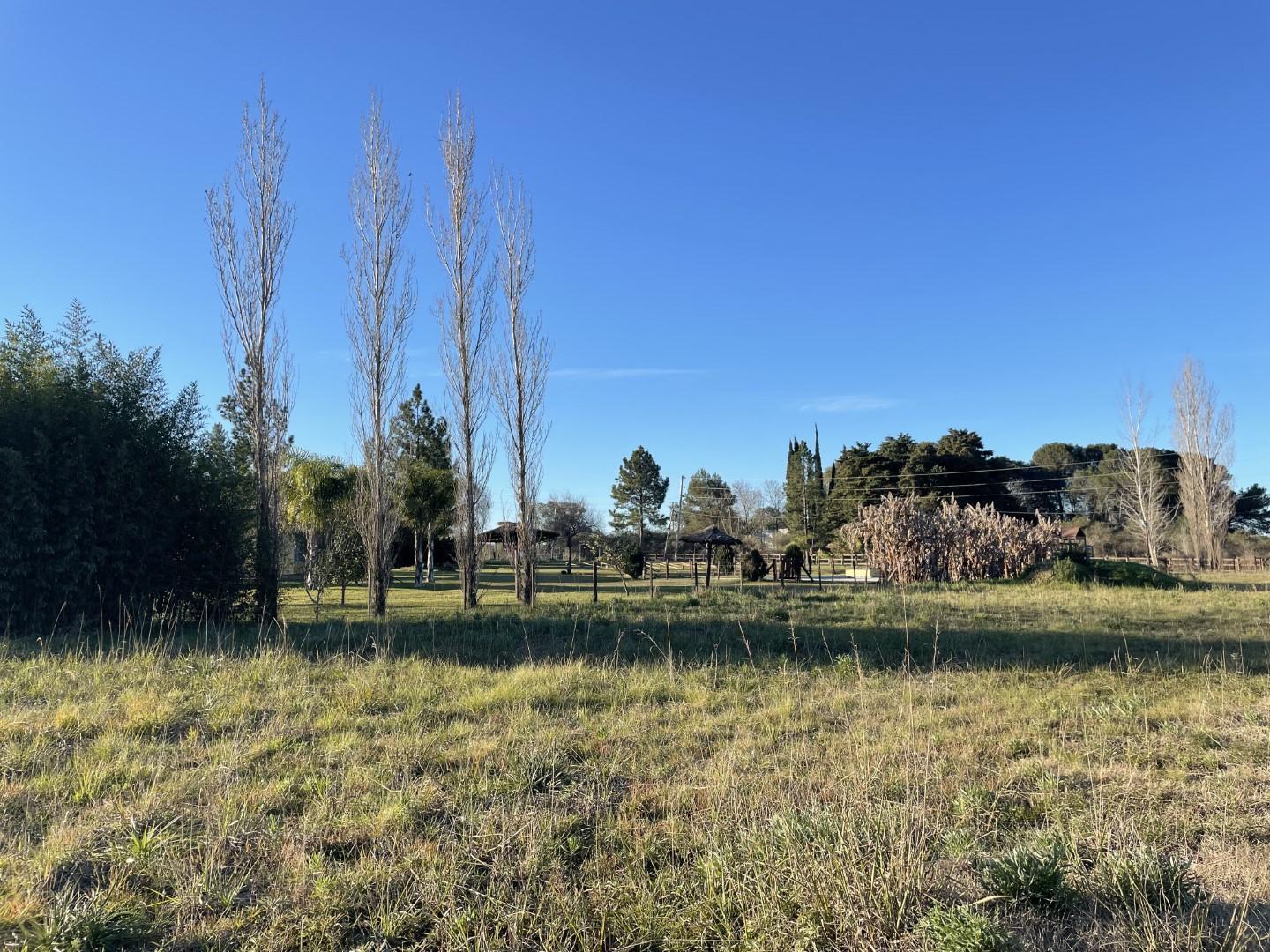 Foto de Terreno zona Camino Viejo, imagen 5