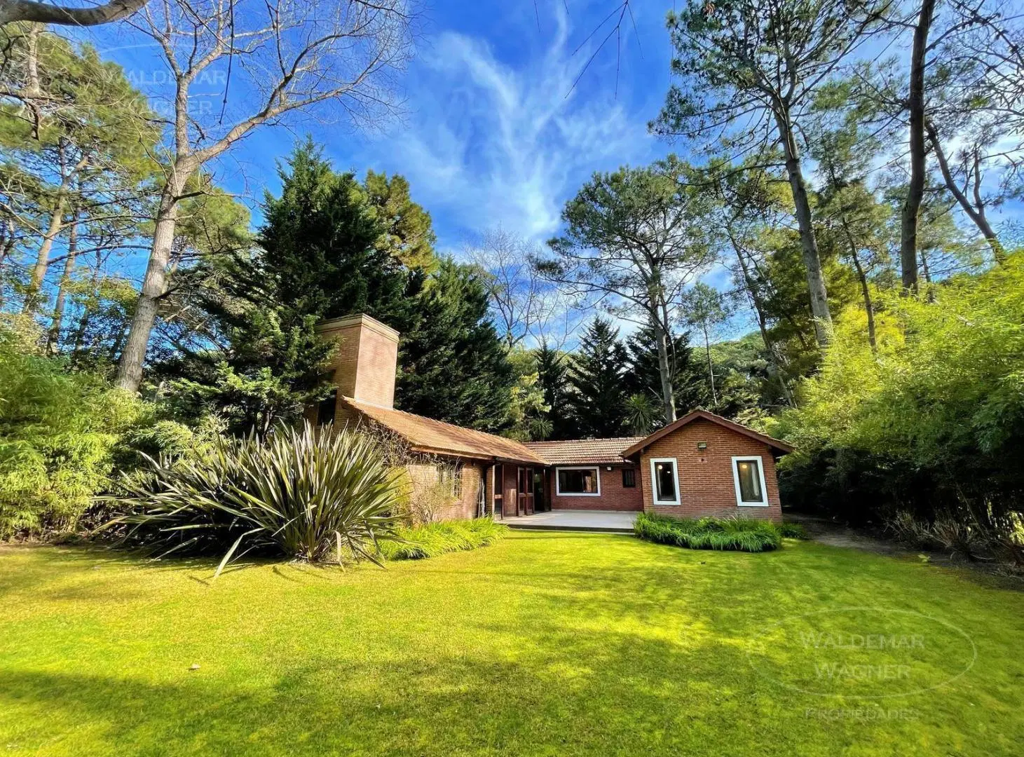 Chalet en Planta Baja con enorme Jardín al Bosque - Carilo 3