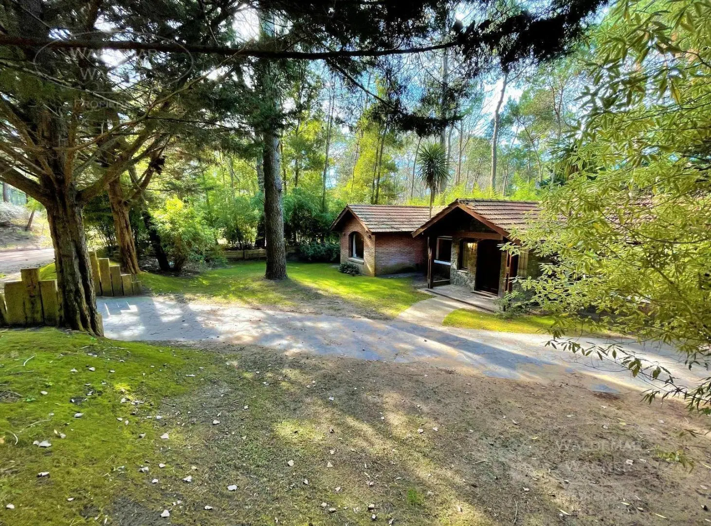Chalet en Planta Baja con enorme Jardín al Bosque - Carilo 3