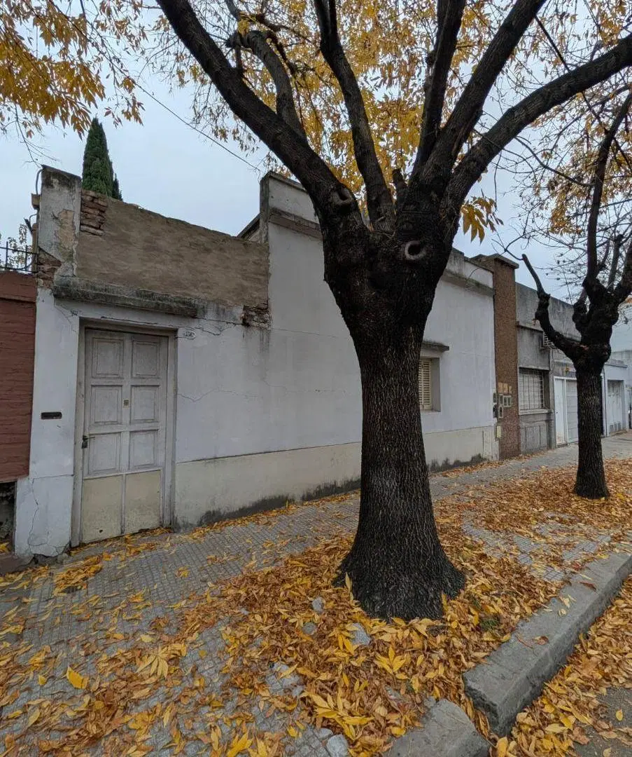Terreno en venta – Saavedra | 365 m² | Apto 5 pisos | Miller 3500 Mts Larralde 2