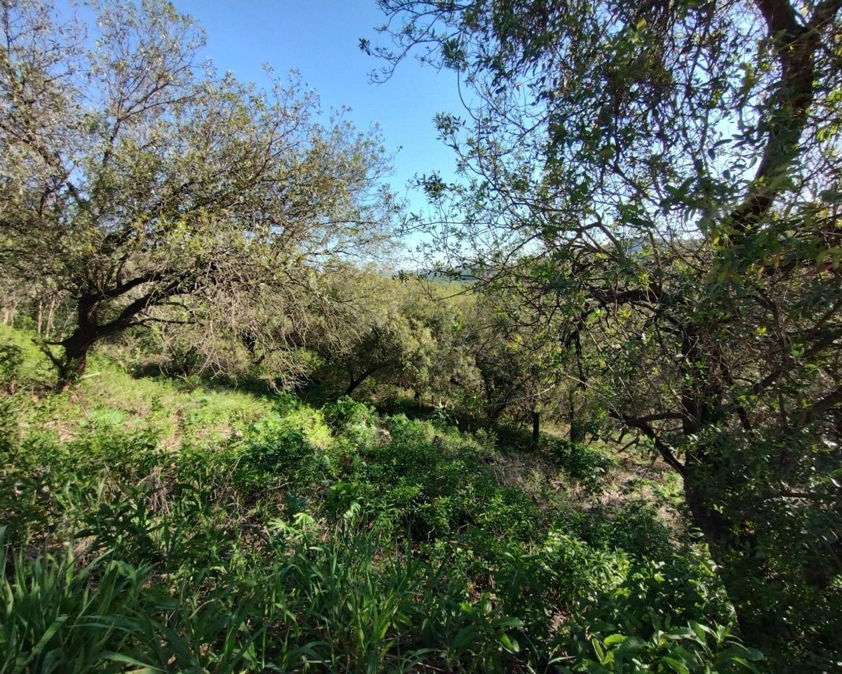 ¡Venta! Lote en  Sierra Nueva - Mendiolaza - ¡Con Escritura!