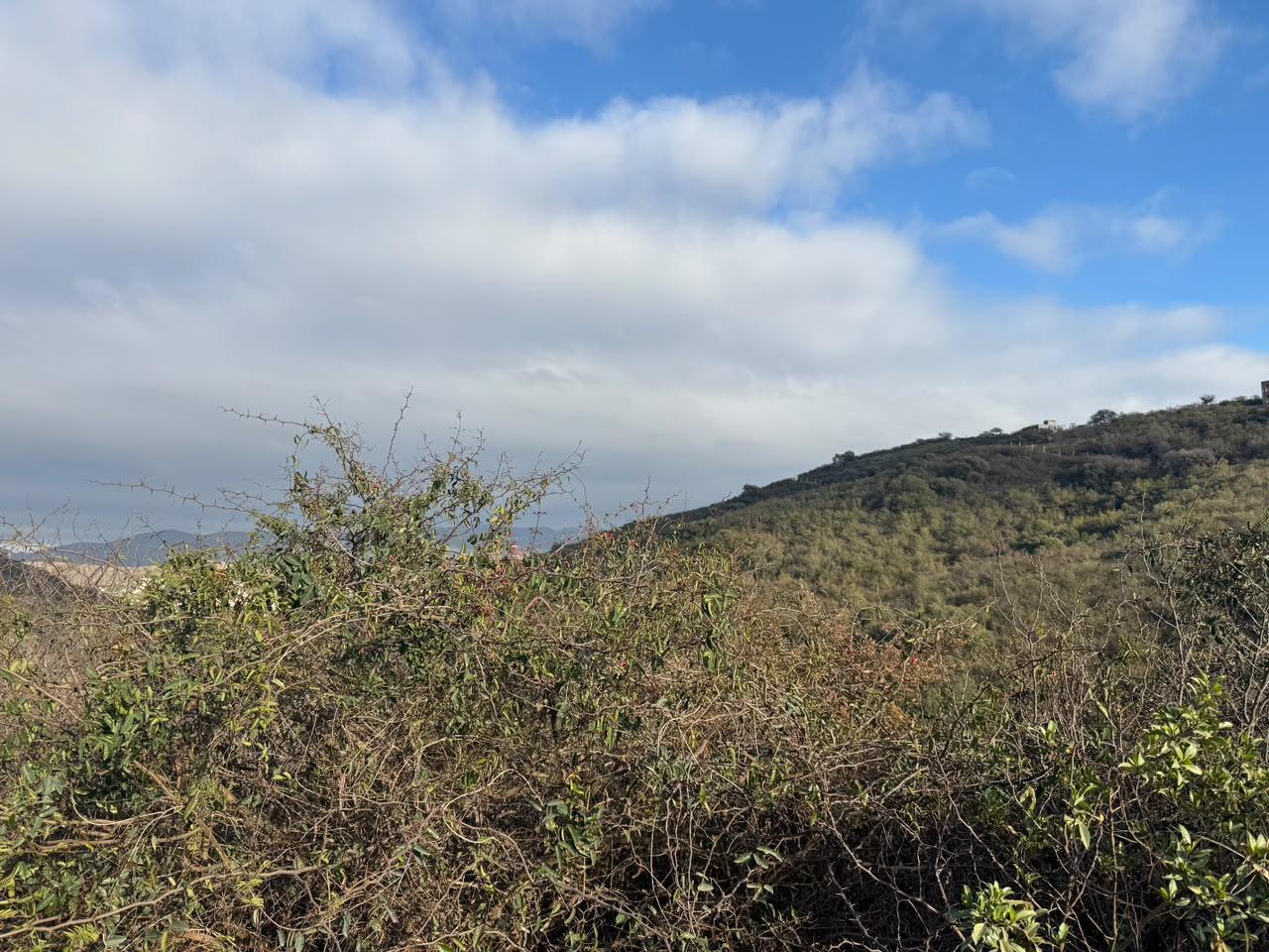 Foto de ¡Venta! Lote en La Deseada ¡Ubicación privilegiada!, imagen 4