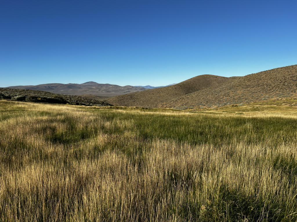 2.500 Has en Esquel 2