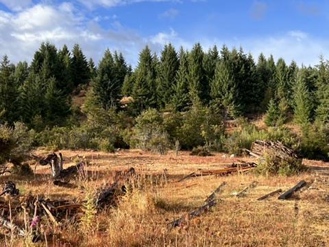 Campo en Trevelin - Chubut 5