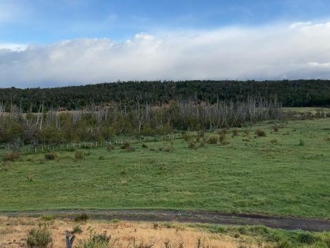 Campo en Trevelin - Chubut 4