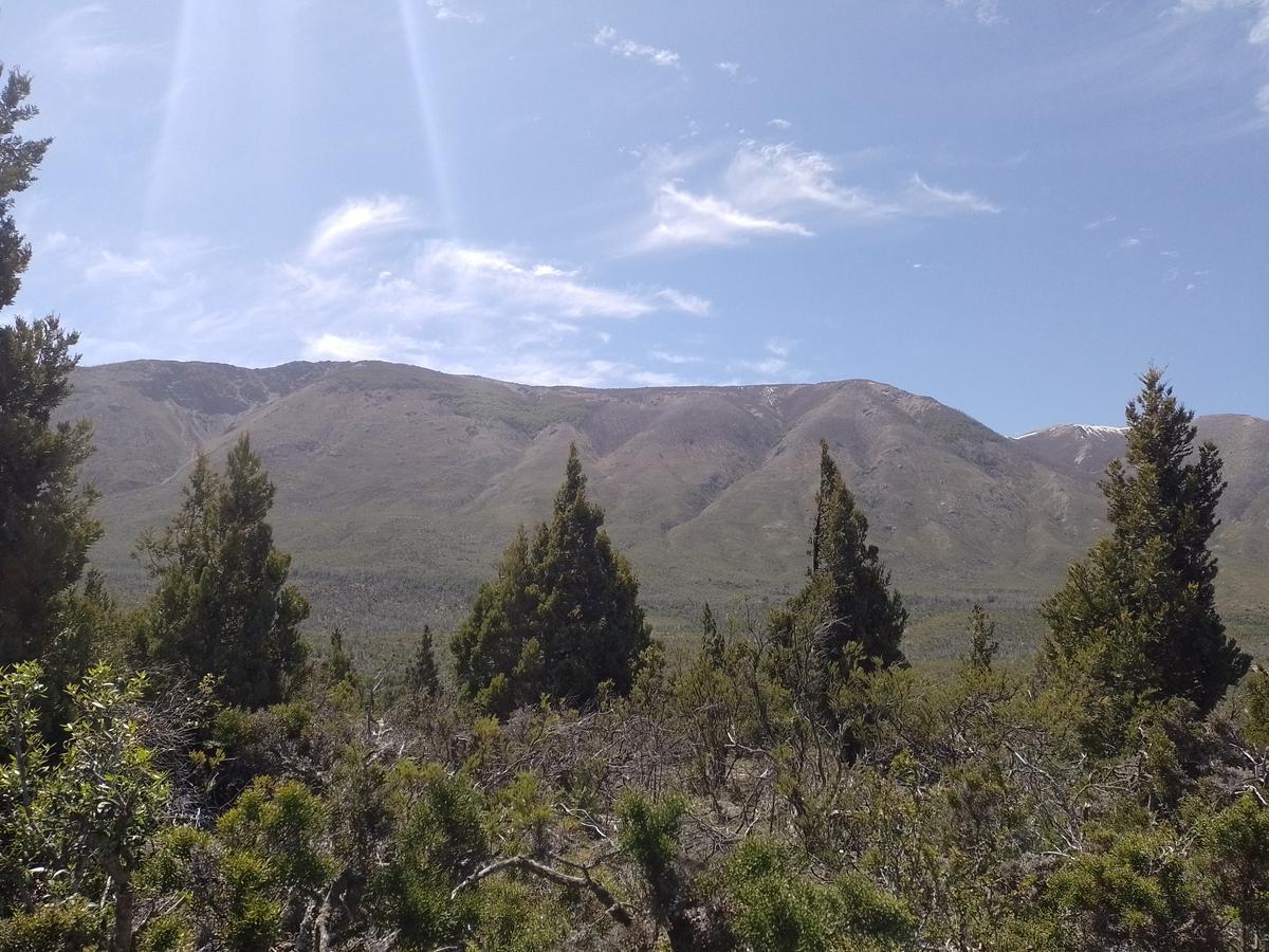 Foto de Terreno - Cholila, imagen 2