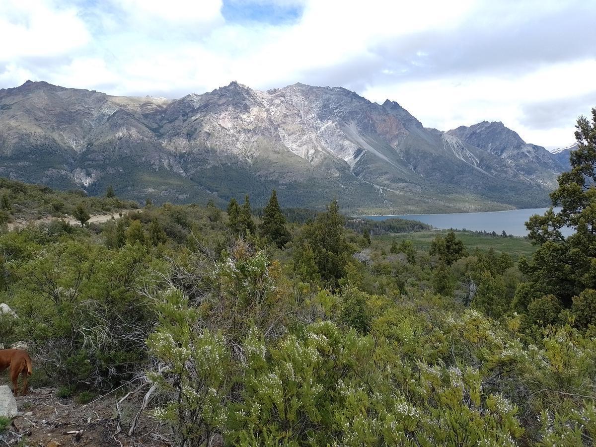Foto de Terreno - Cholila, imagen 4