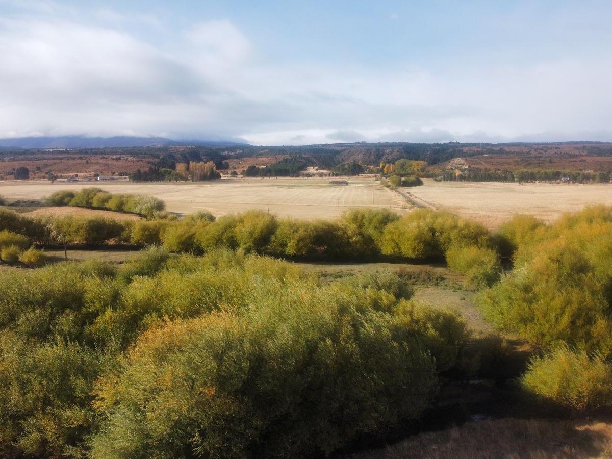 Campo en Trevelin 1