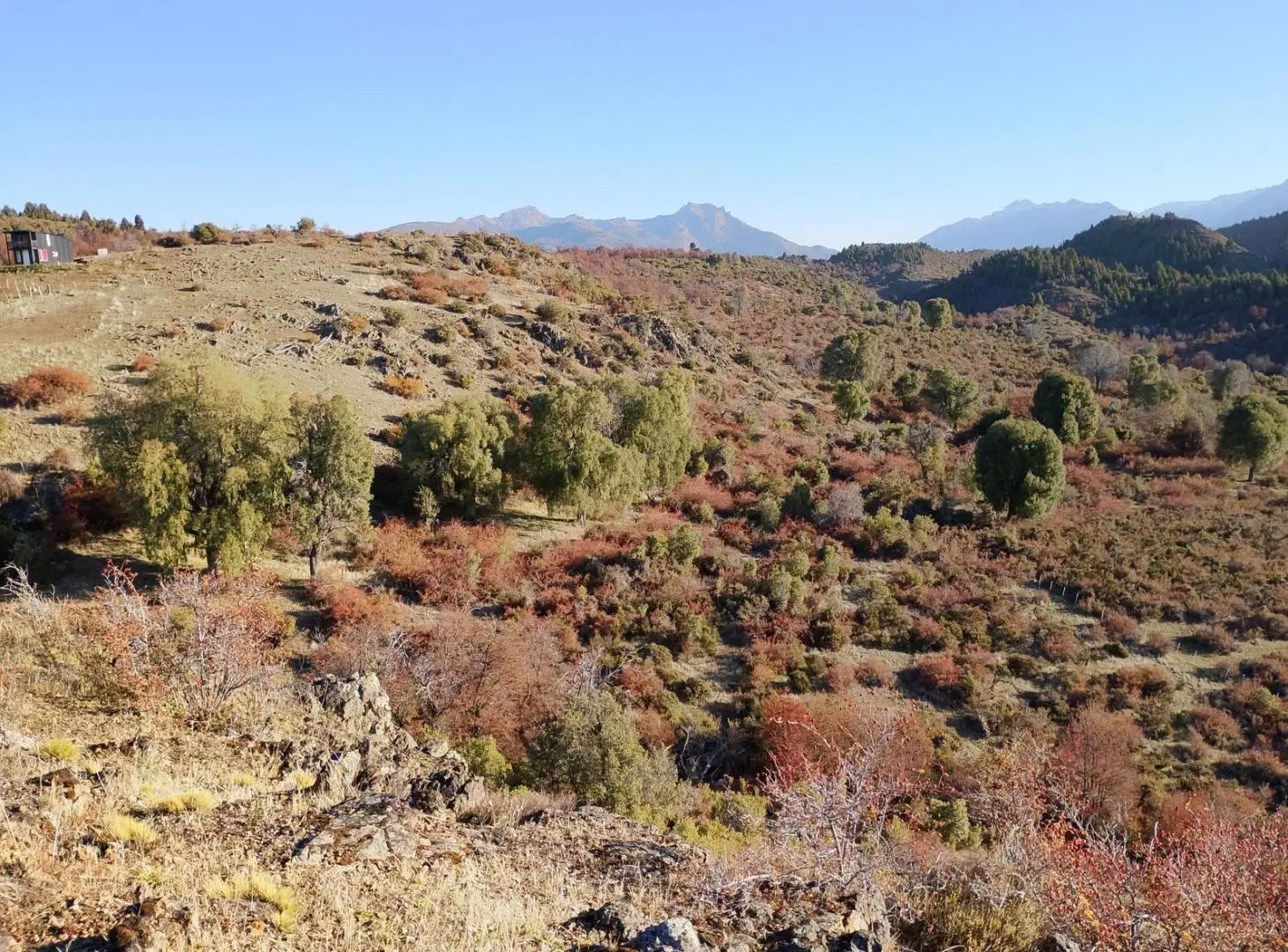 Campo en Cholila 2