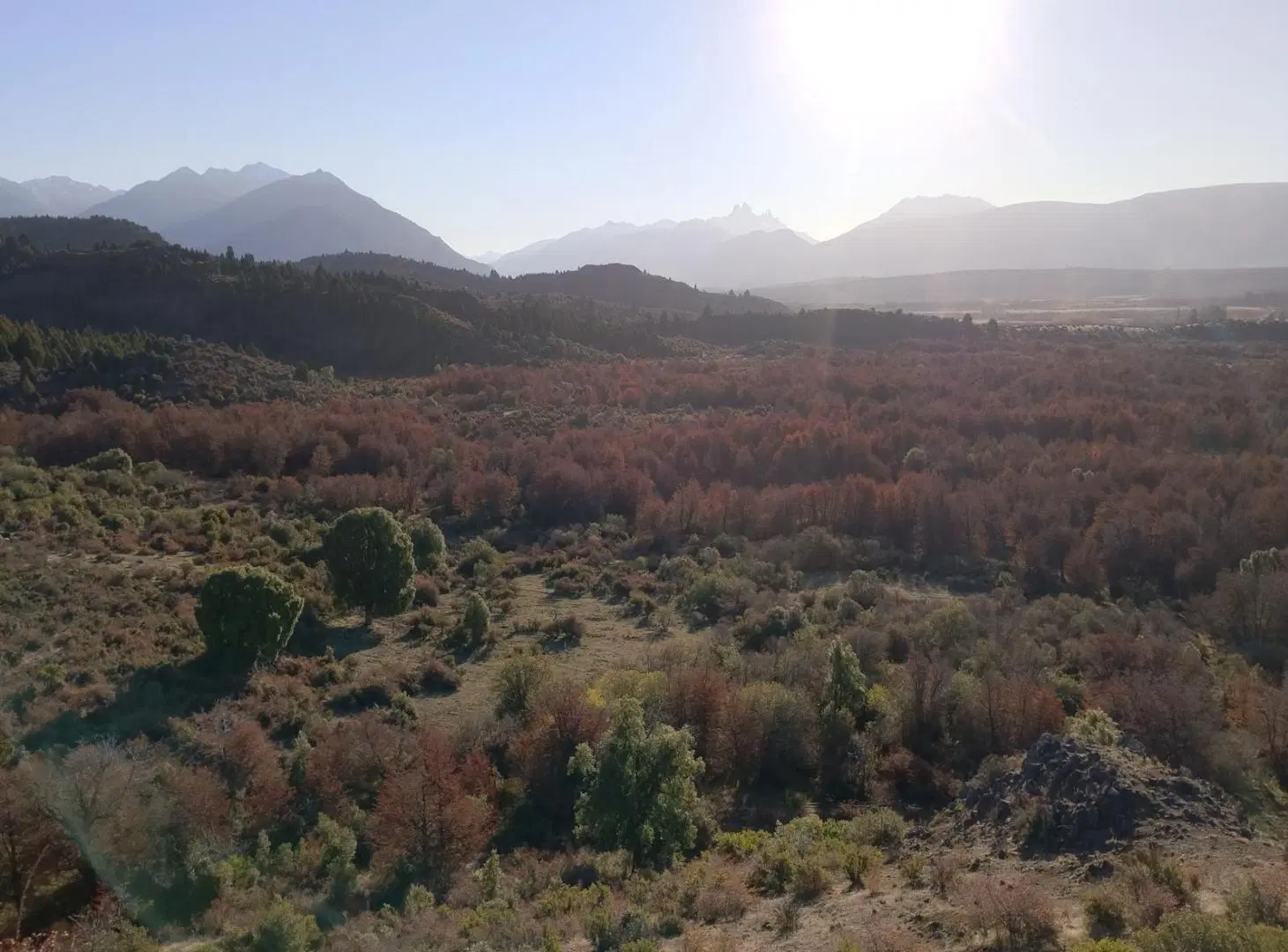 Campo en Cholila 3
