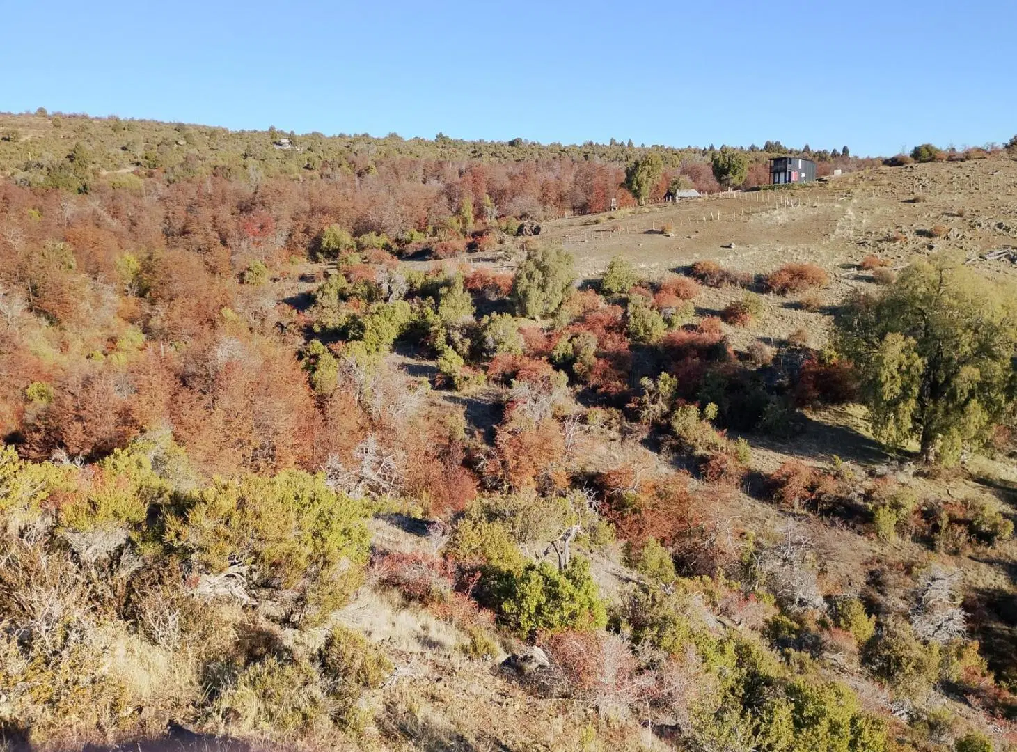 Campo en Cholila 5