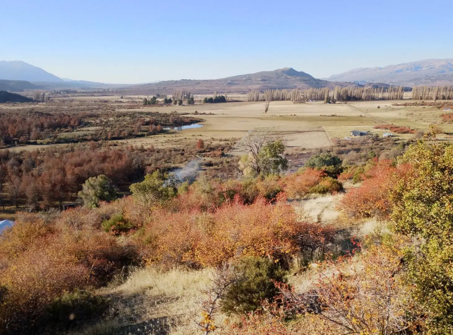Campo en Cholila 4