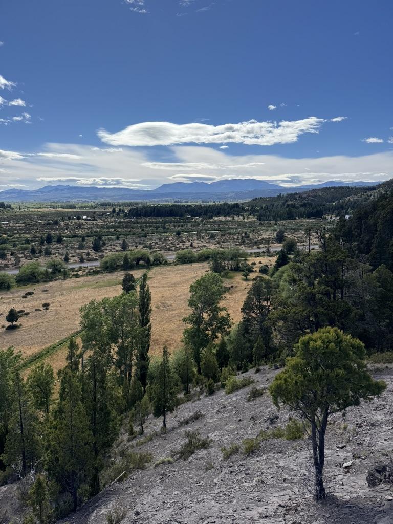 Foto de Propiedad rural en venta en Trevelin | 8,8 hectáreas sobre Ruta 259, imagen 2